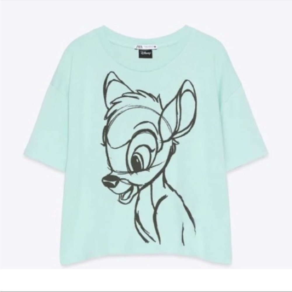 Zara Bambi Pistachio Crop Top